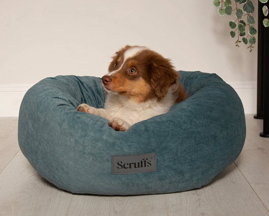 Oslo Ring Bed De Lake Teal - Extra Large