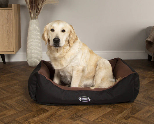 Scruffs expedition dog bed new arrivals