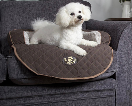 Scruffs wilton dog bed 2025