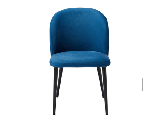 Zen Dining Chair (Pair)- Blue