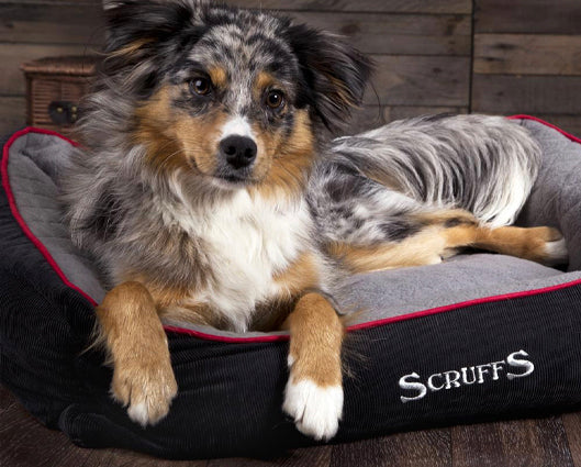 Scruffs extra large dog on sale beds