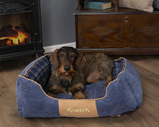 Highland Box Bed Blue - Small