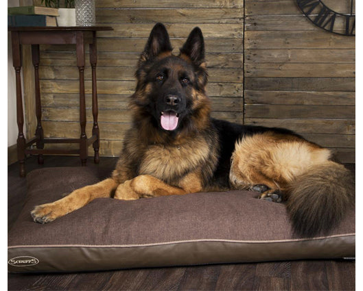 Scruffs hilton deals memory foam