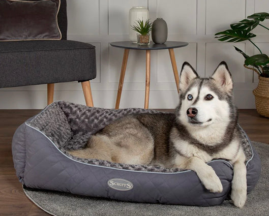 Scruffs extra large dog beds on sale