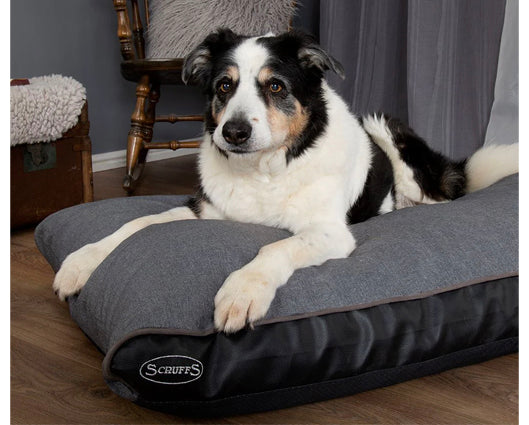 Scruffs hilton best sale orthopedic dog bed