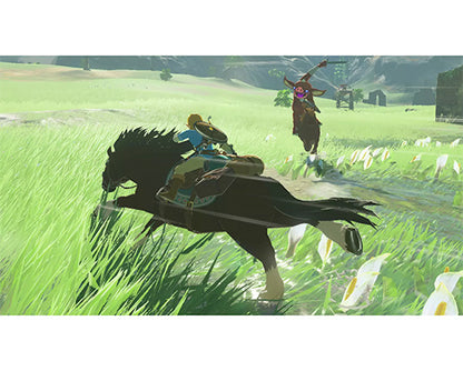 Nintendo Switch The Legend of Zelda: Breath of the Wild